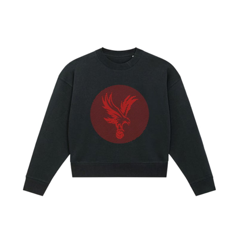 Crystal Palace Sweater